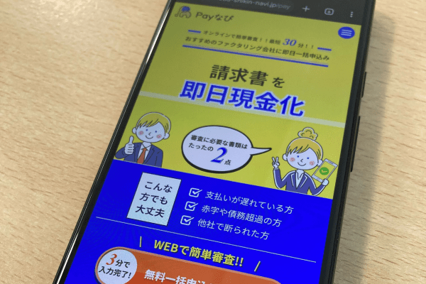 Payなびの公式HP